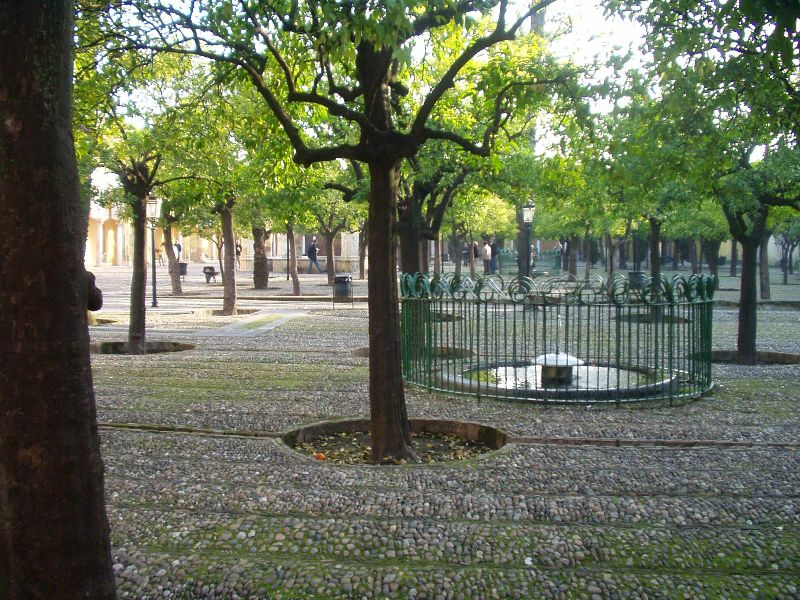 Orangengarten in Cordoba