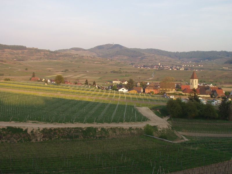 Blick von den Weinbergen auf Burkheim und den Kaiserstuhl