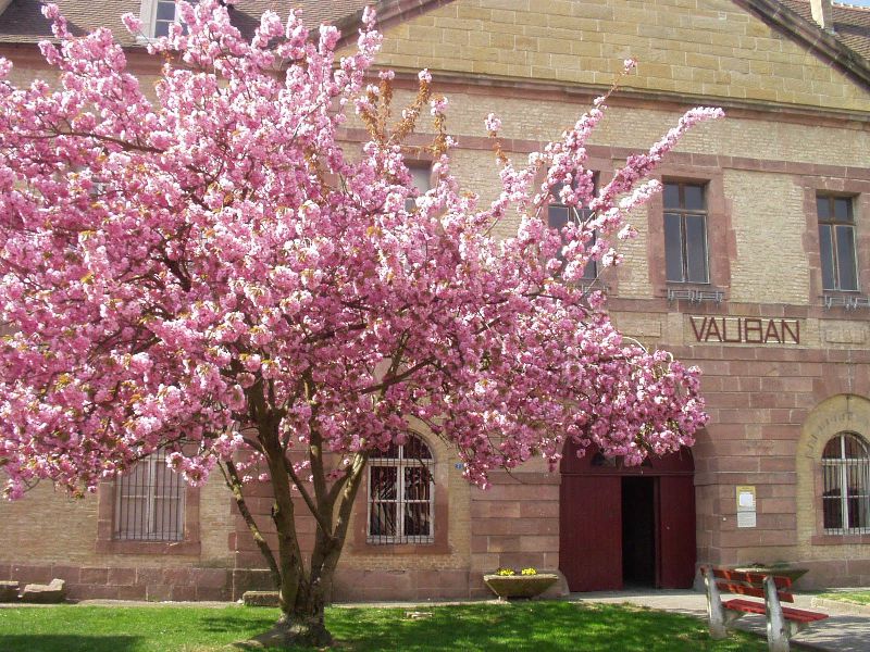 Musée Vauban in Neuf-Brisach