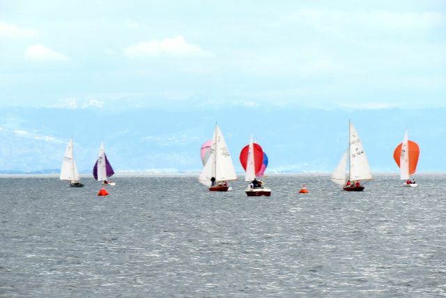 Konstanzer Bucht - Konstanz am Bodensee