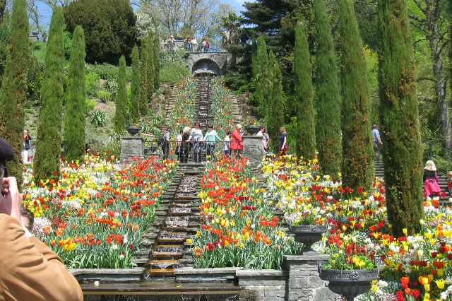 Blumeninsel Mainau im Bodensee