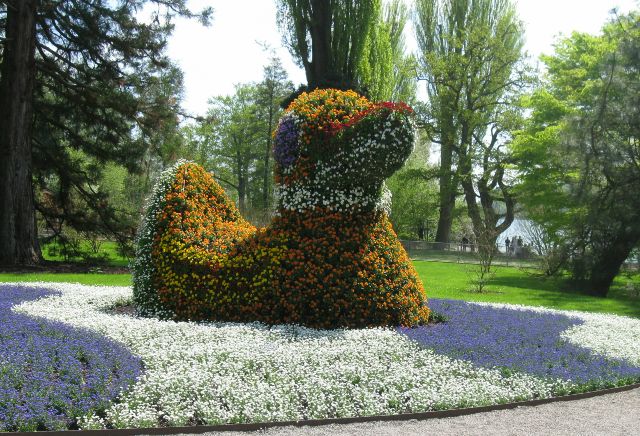 Blumeninsel Mainau im Bodensee