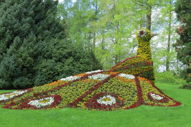 Blumeninsel Mainau im Bodensee