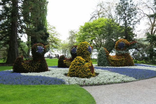 Blumeninsel Mainau im Bodensee