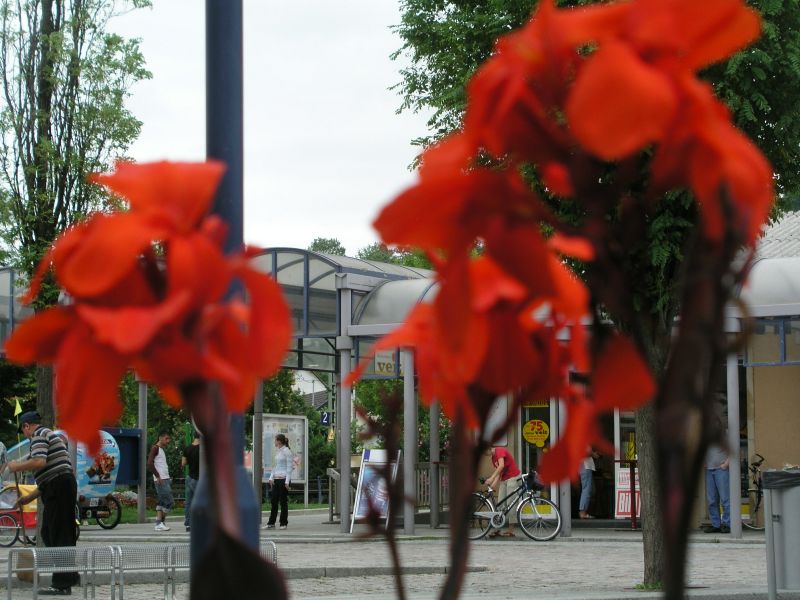 Bahnhofsplatz in Metzingen