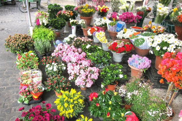 Roma - Campo de Fiori