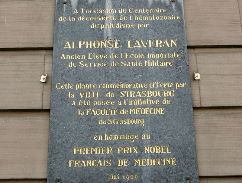 Strassburg, Alphonse Laveran