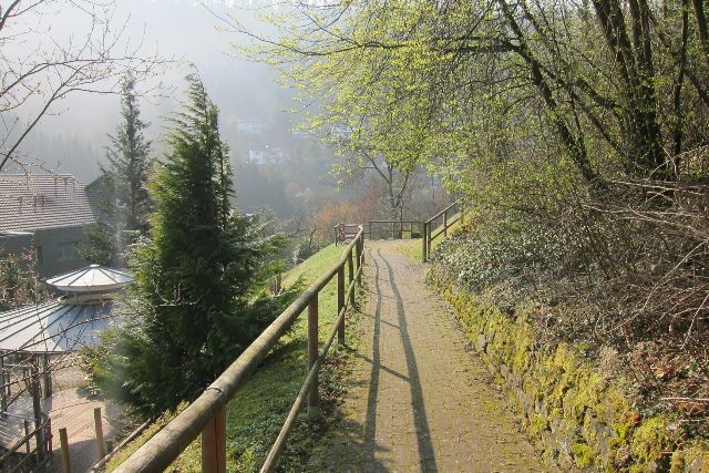 Wildberg im Schwarzwald